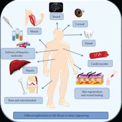  Silk Fibroin: Biocompatible Wonder Material for Regenerative Medicine Applications!